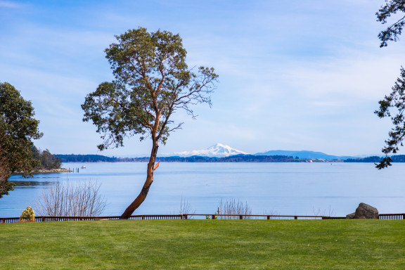 The view from campus overlooking the ocean and Mount Baker